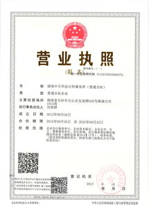 湖南中天华会计师事务所 普通合伙