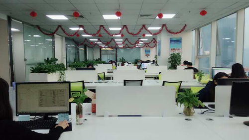 国内单位装专用的深圳税务师事务所公司,选择深圳市伯勤会计师事务所 普通合伙