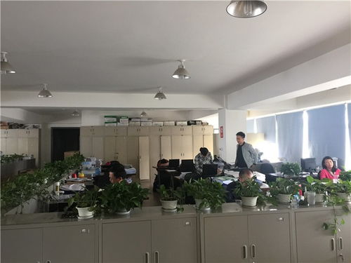 金堂半年报表审计报告哪家便宜德维会计师事务所更专业更快捷