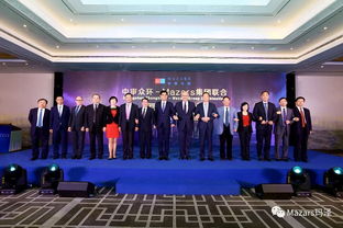 中审众环与玛泽集团圆满完成联合 联手打造拥有强大国际背景的专业会计师事务所