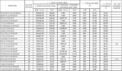 2013年中国会计师事务所百强排名