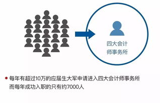 详解四大会计师事务所的方方面面
