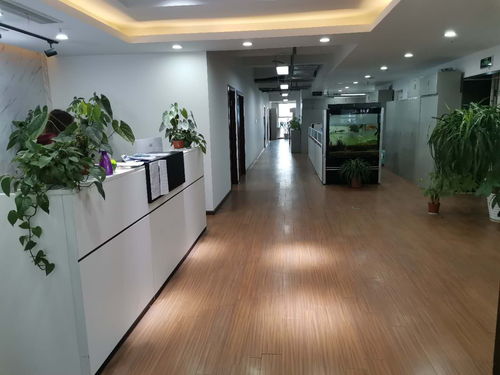 攀枝花报表审计报告哪家价格便宜德维会计师事务所专业人做专业事