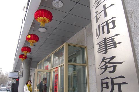 上市公司审计