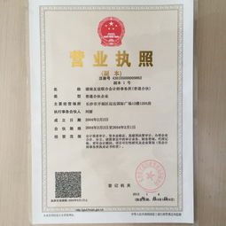 湖南友谊联合会计师事务所 普通合伙