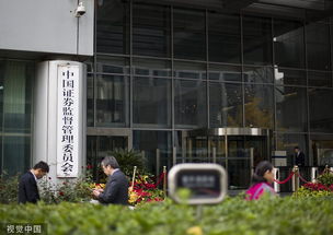 证监会发布会计师事务所资本市场执业基本信息