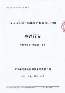 保定佳和会计师事务所有限责任公司