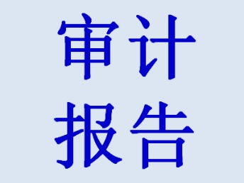 武汉财务审计报告与会计师事务所服务全解析